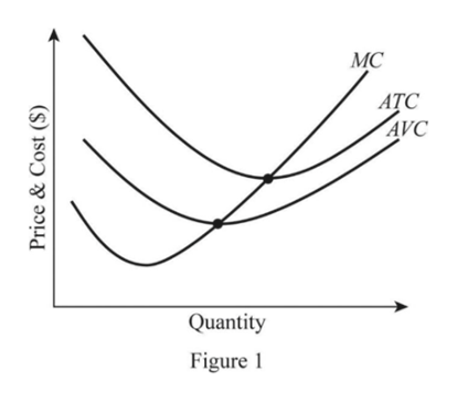 Answered Graphically The Marginal Cost Curve Bartleby