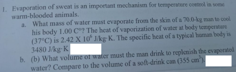 Answered 1 Evaporation Of Sweat Is An Important Bartleby