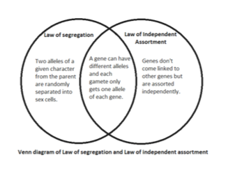 law segregation assortment vs diagram fullscreen