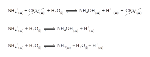 Answered Write The Net Ionic Equation For The Bartleby