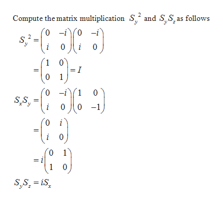 Answered: The four matrices Sx, Sy, S and I are… | bartleby