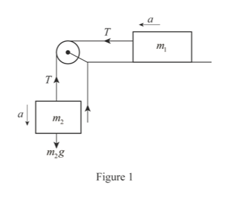 Free Body Diagram Two Masses Pulley - Diagram Media