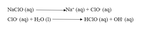 Answered: HClO is a weak acid (Ka = 4.0 × 10–8)… | bartleby