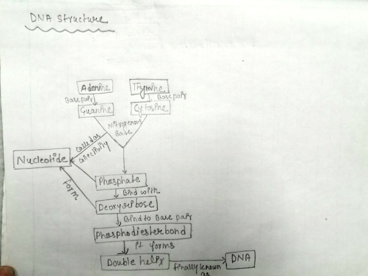 Biology homework question answer, step 1, image 1