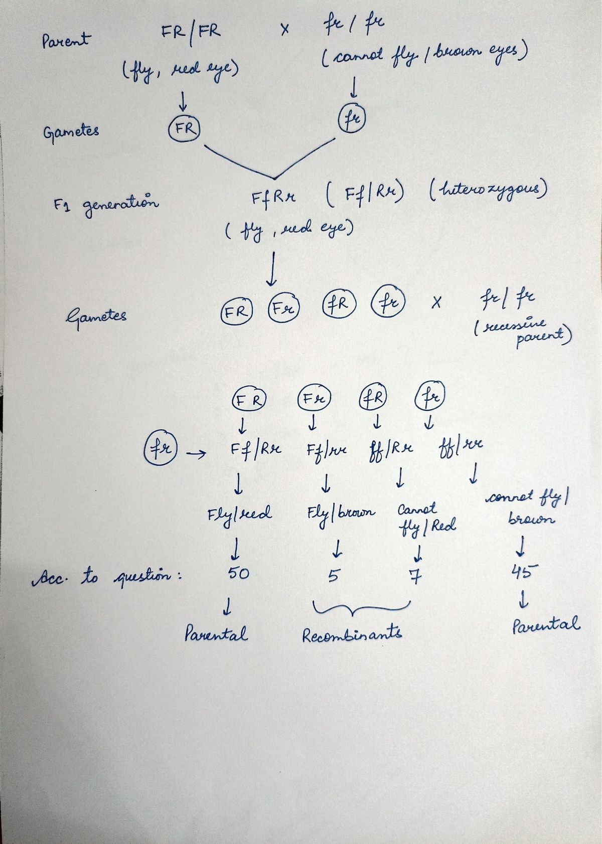 Biology homework question answer, step 1, image 1