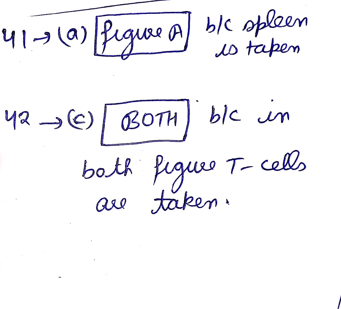 Biology homework question answer, step 1, image 1