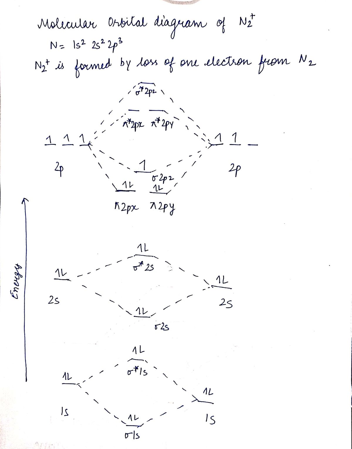 Answered: Molecular Orbital Diagram and bond… | bartleby