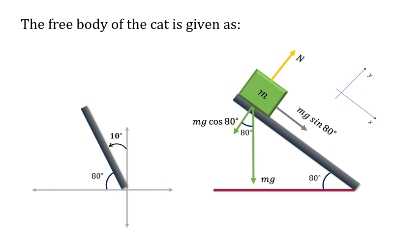 Physics homework question answer, step 1, image 1