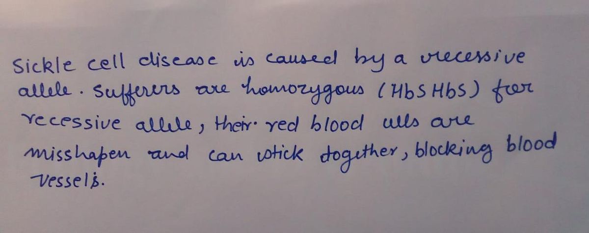 Biology homework question answer, step 1, image 1