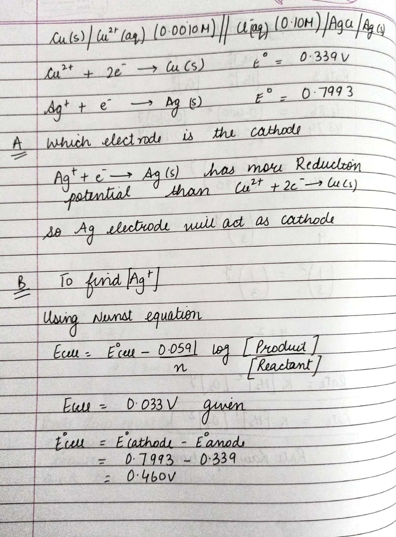 Answered The Following Electrochemical Cell Has Bartleby