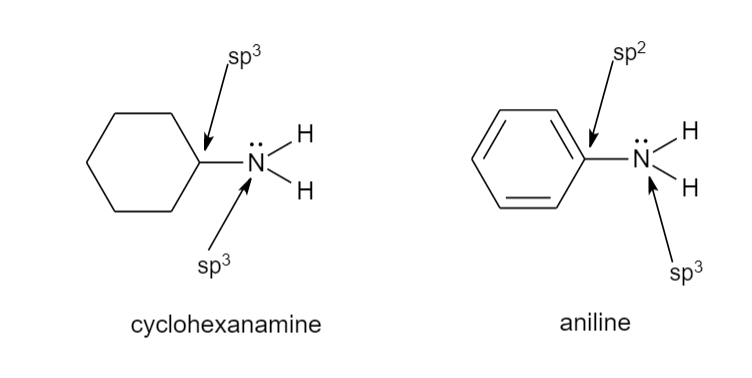Answered: -NH2 -NH2 cyclohexanamine aniline | bartleby