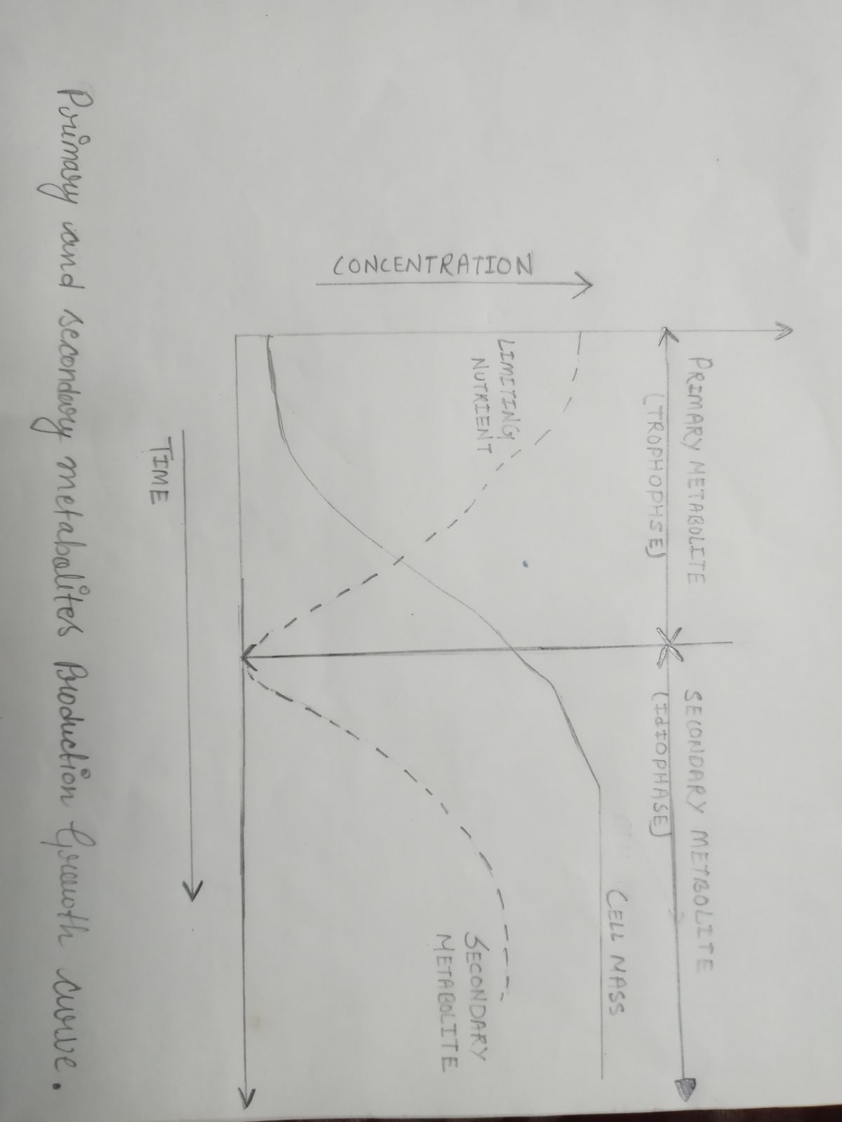 Biology homework question answer, step 1, image 1