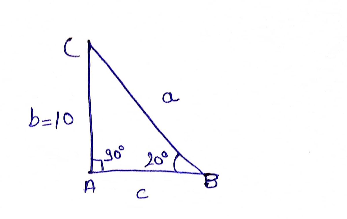 Trigonometry homework question answer, step 1, image 1