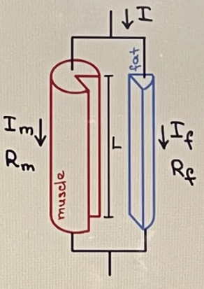 Advanced Physics homework question answer, step 1, image 1