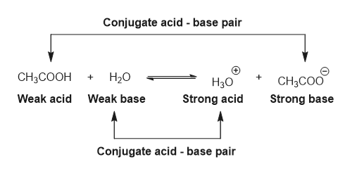 Answered: Acetic acid (CH3COOH) and… | bartleby