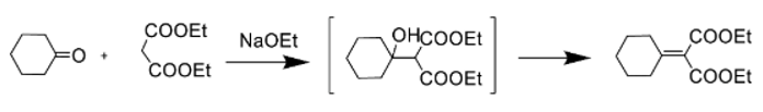 Answered Gabapentin Synthesis And Which Name Bartleby