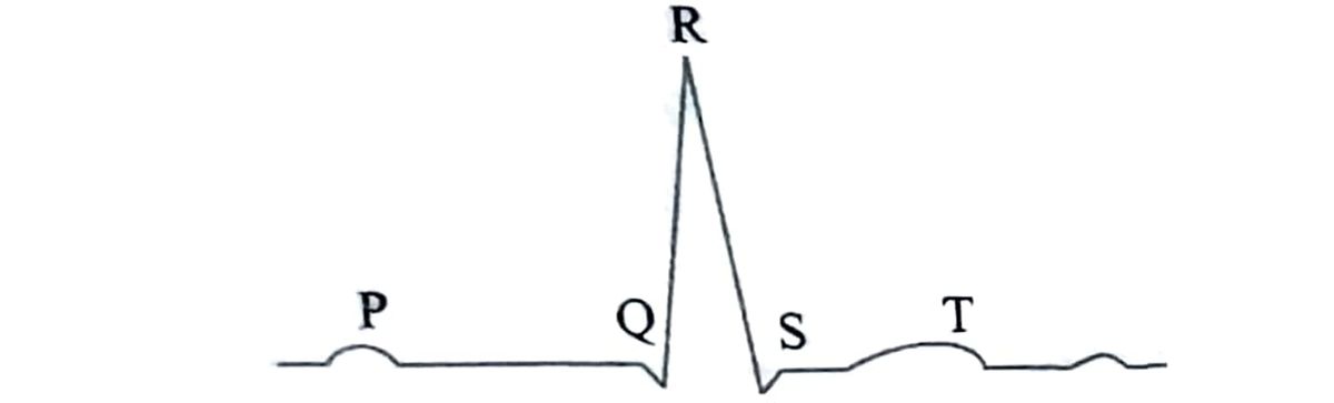 Health Science homework question answer, step 1, image 1