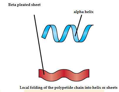 Biochemistry homework question answer, step 1, image 1