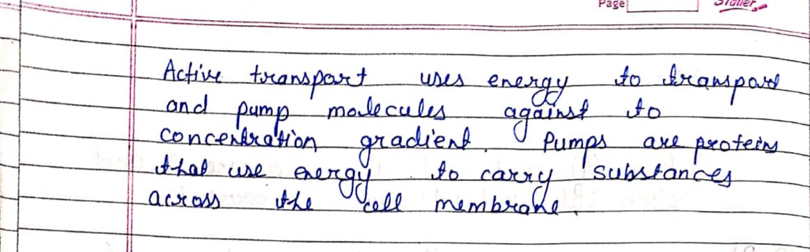 Biology homework question answer, step 1, image 1