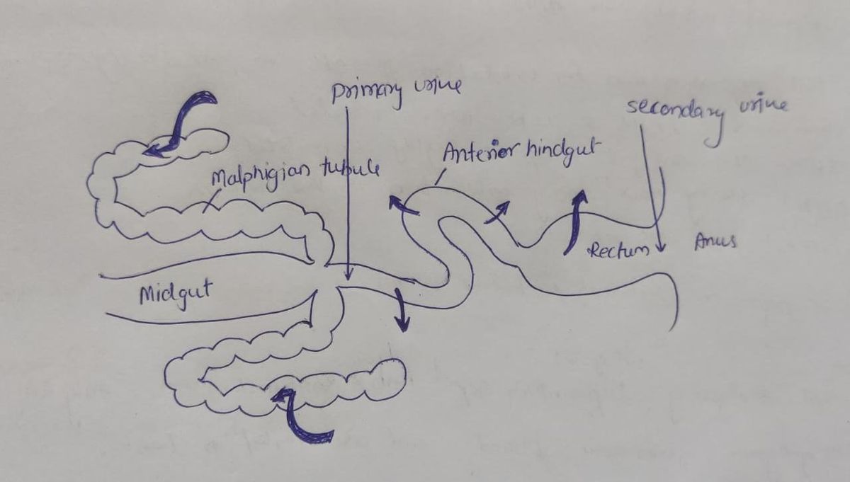 Biology homework question answer, step 1, image 1