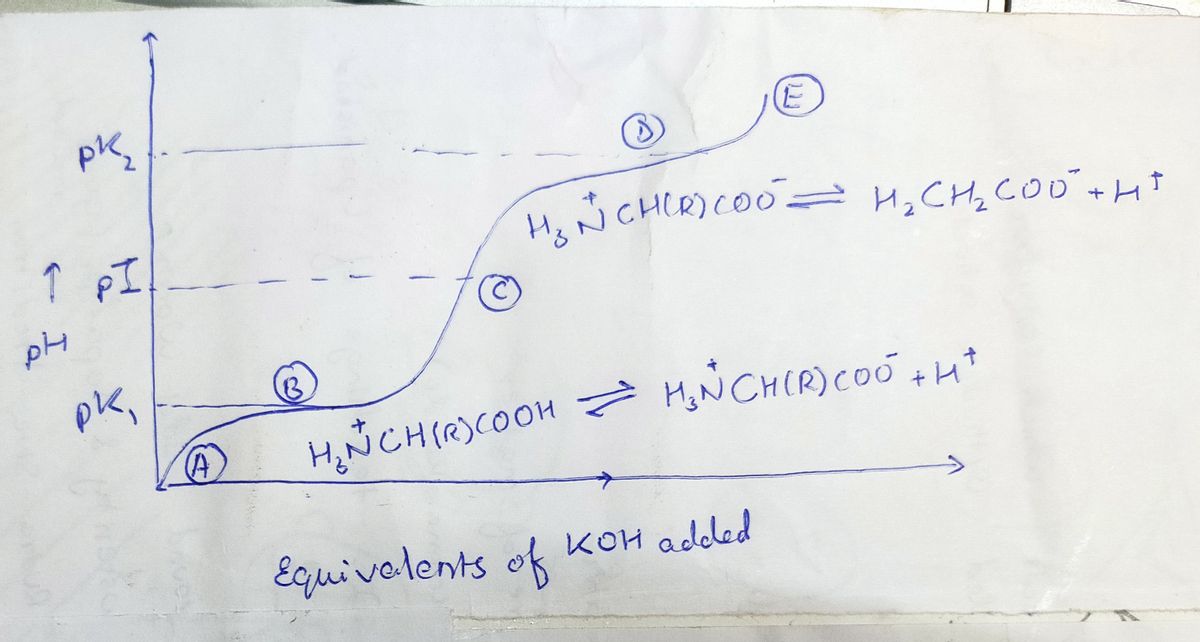 Biochemistry homework question answer, step 1, image 1