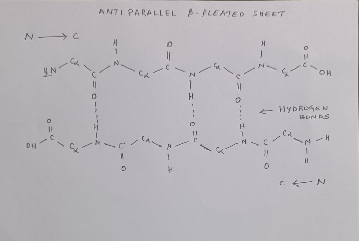 Biochemistry homework question answer, step 1, image 1