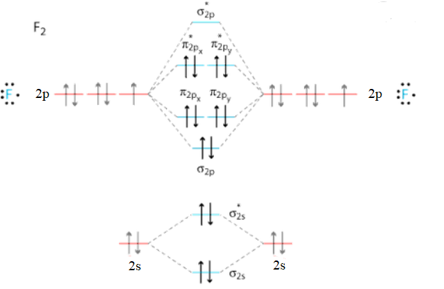 Answered: The Correct Molecular Orbital Electron… 