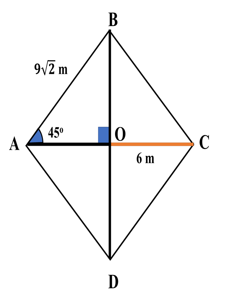 Answered: 6. What is the area of the kite shown?… | bartleby