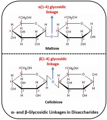 Biochemistry homework question answer, step 1, image 1