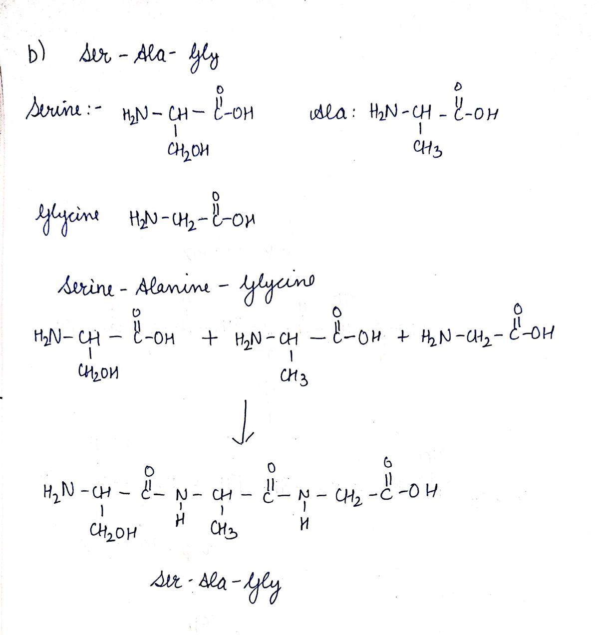 Answered: a. Cys-Gly-Ala b. Ser-Ala-Gly | bartleby