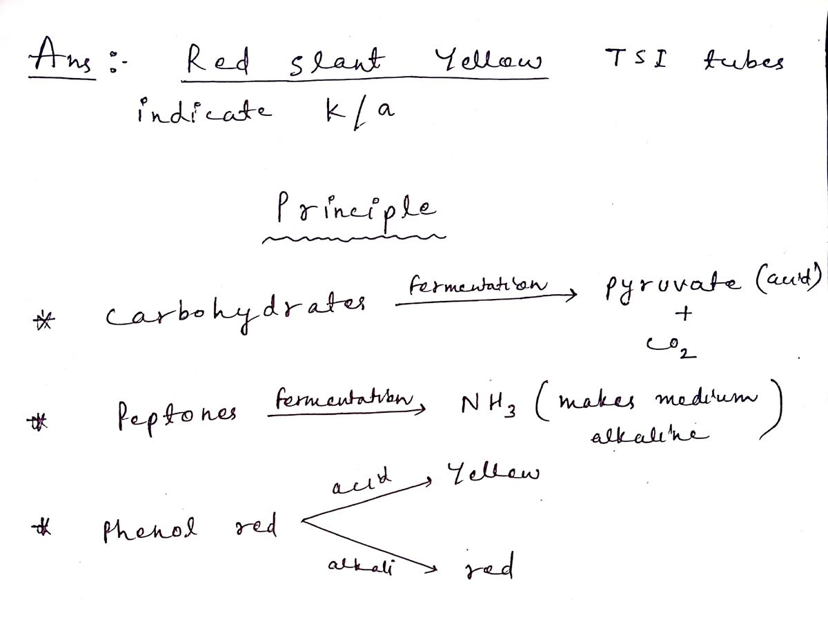 Biology homework question answer, step 1, image 1