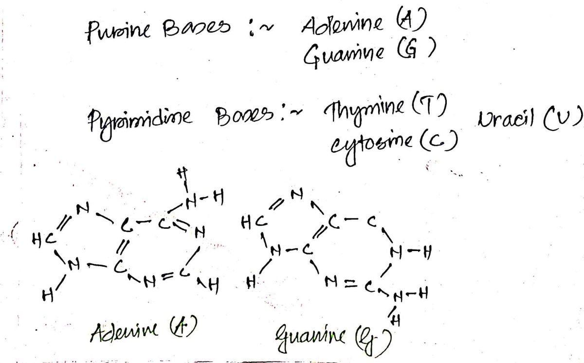 Biology homework question answer, step 1, image 2