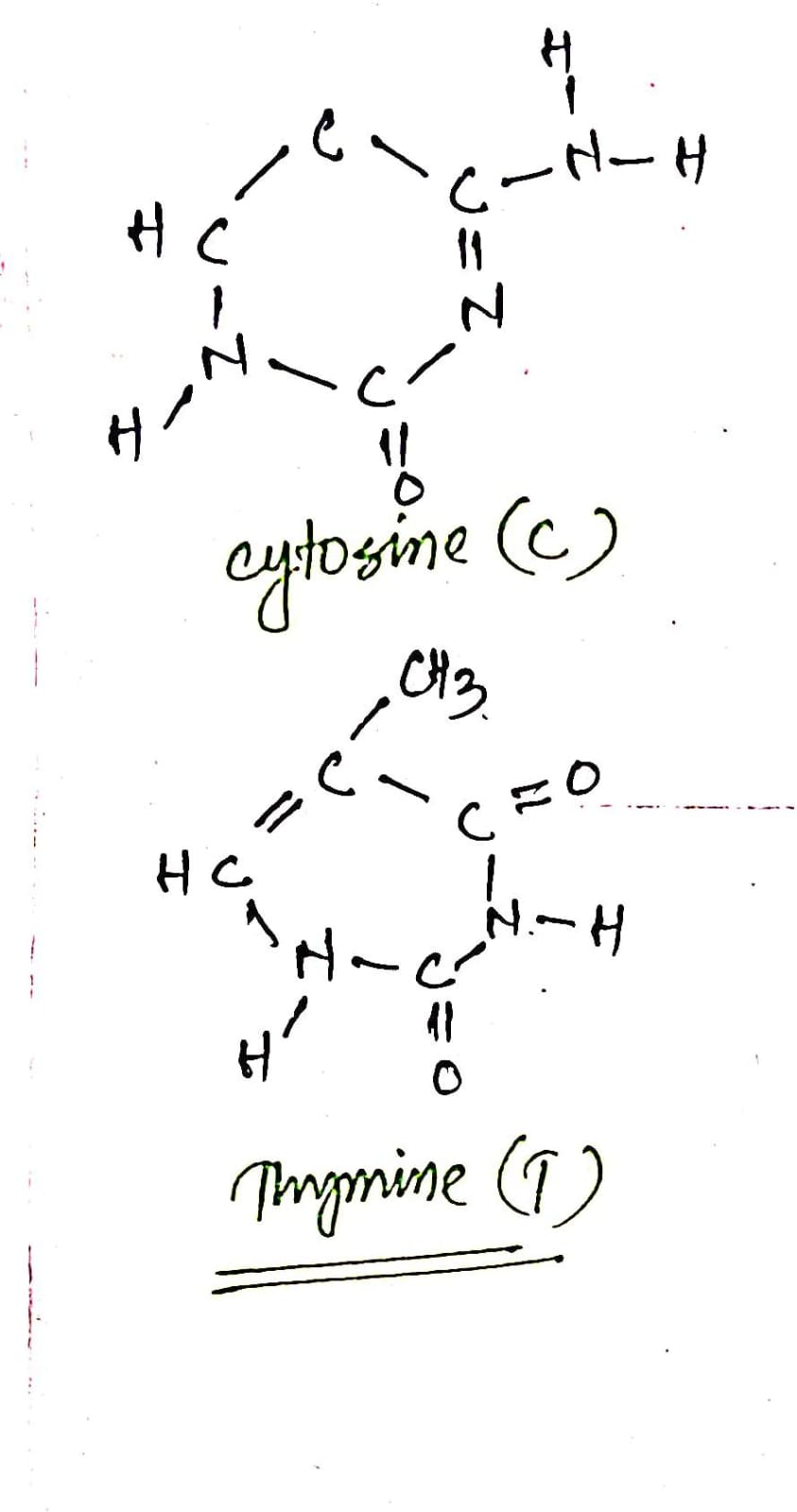 Biology homework question answer, step 1, image 3