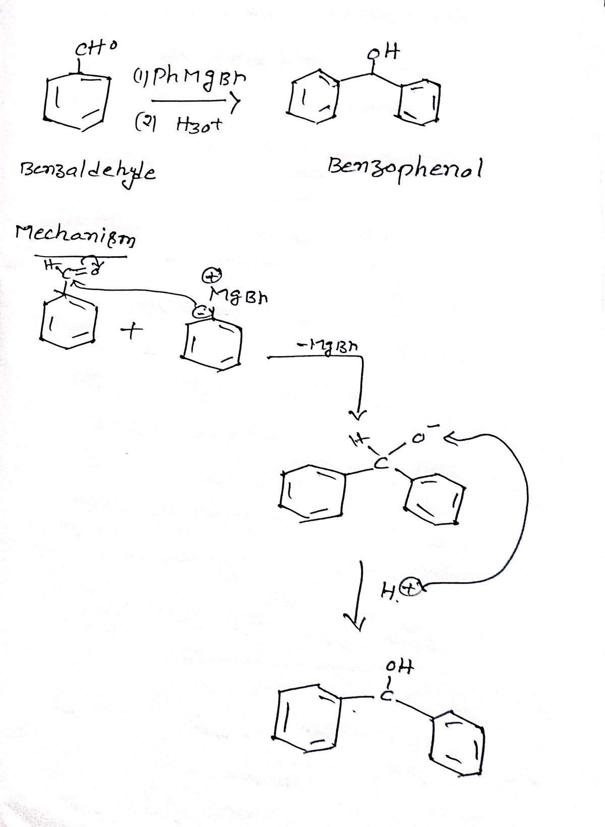 Chemistry homework question answer, step 1, image 1