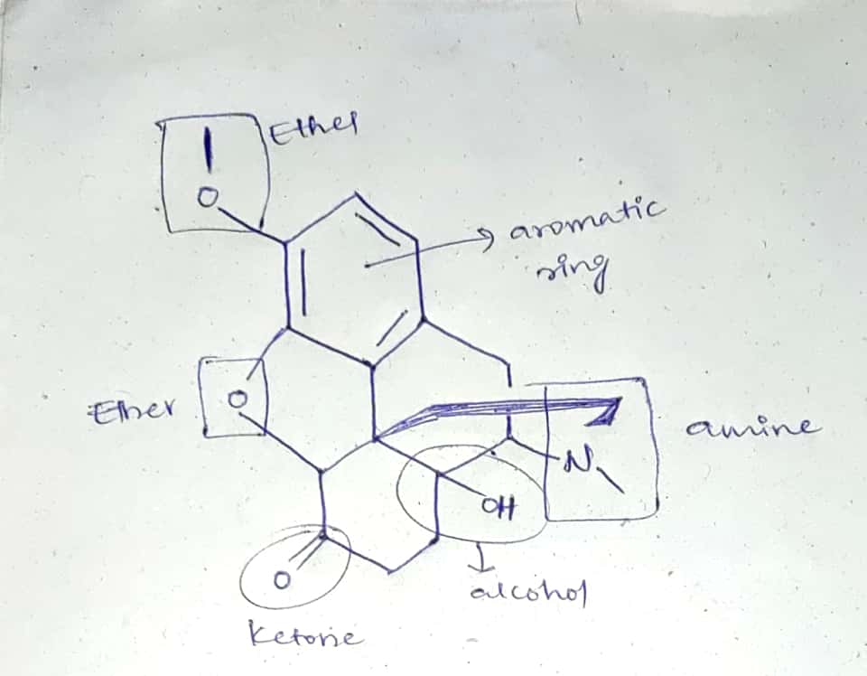 Chemistry homework question answer, step 1, image 1