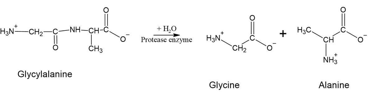 Chemistry homework question answer, step 1, image 1