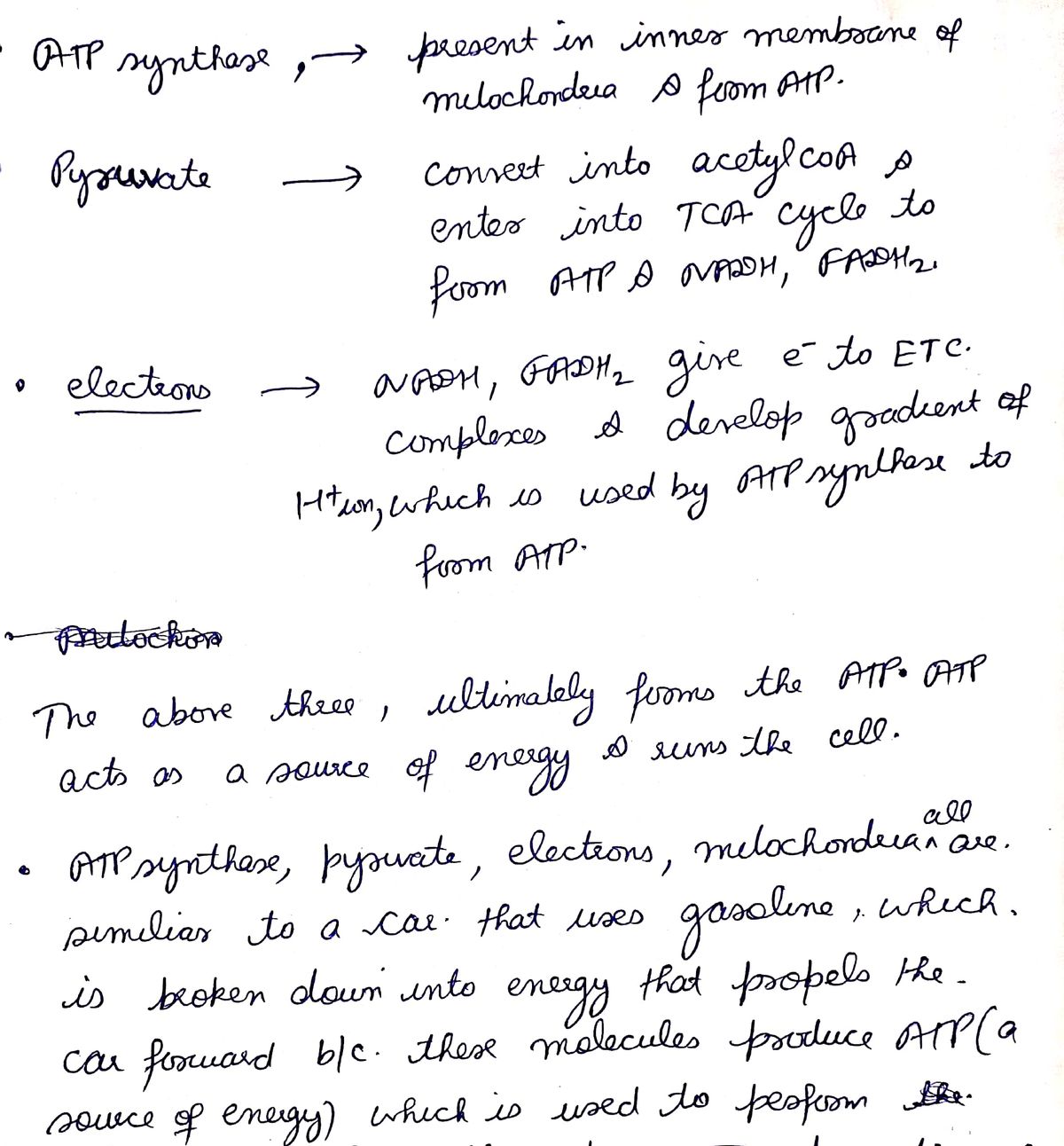 Biology homework question answer, step 1, image 1