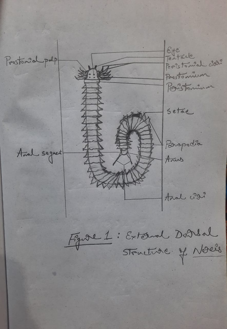 Earth Science homework question answer, step 1, image 1