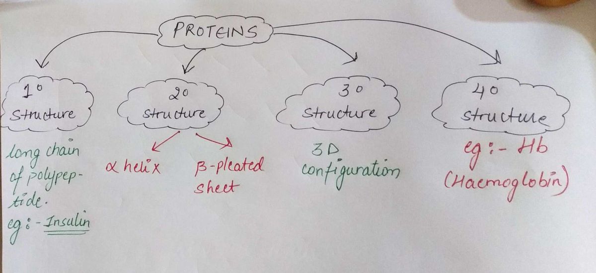 Biochemistry homework question answer, step 1, image 1