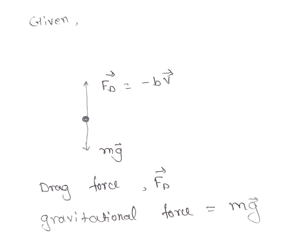 Physics homework question answer, step 1, image 1