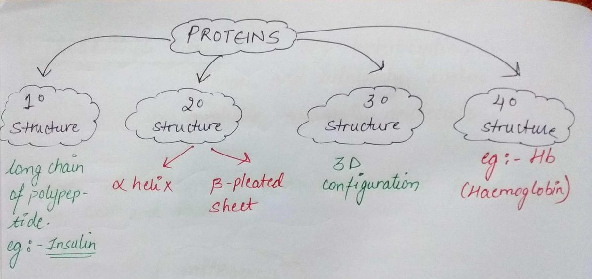 Biochemistry homework question answer, step 1, image 1