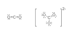 Answered: Based on the lewis structures of H2,… | bartleby