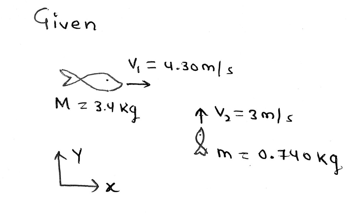 Physics homework question answer, step 1, image 1