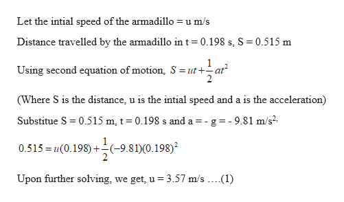 Answered: A startled armadillo leaps upward,… | bartleby