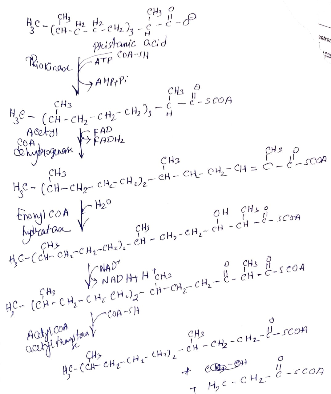 Chemistry homework question answer, step 1, image 1