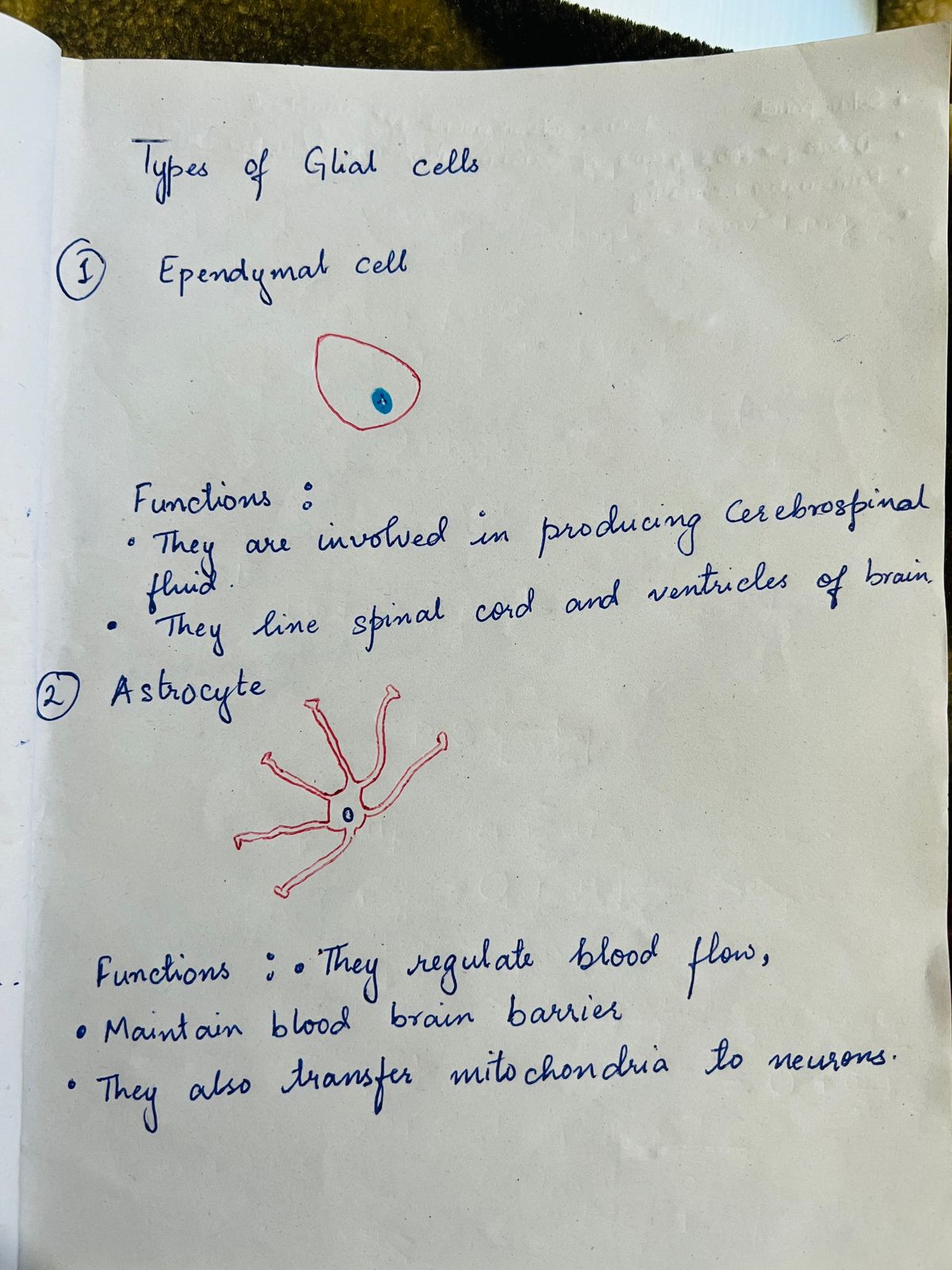 Biology homework question answer, step 1, image 1