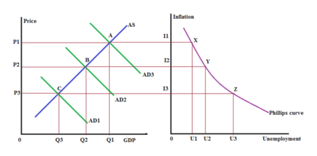 Answered: Draw The Phillips Curve.Use The Model… | Bartleby