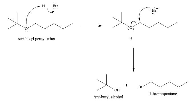 Answered: Reaction of tert-butyl pentyl ether… | bartleby