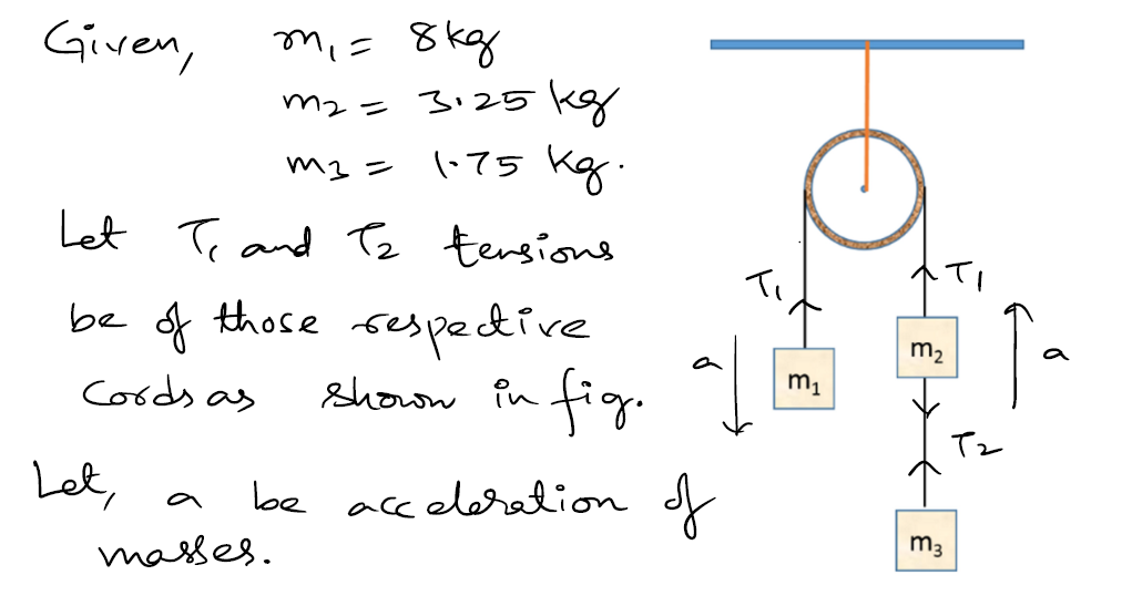 Answered Determine The Tension Force In Newtons… Bartleby