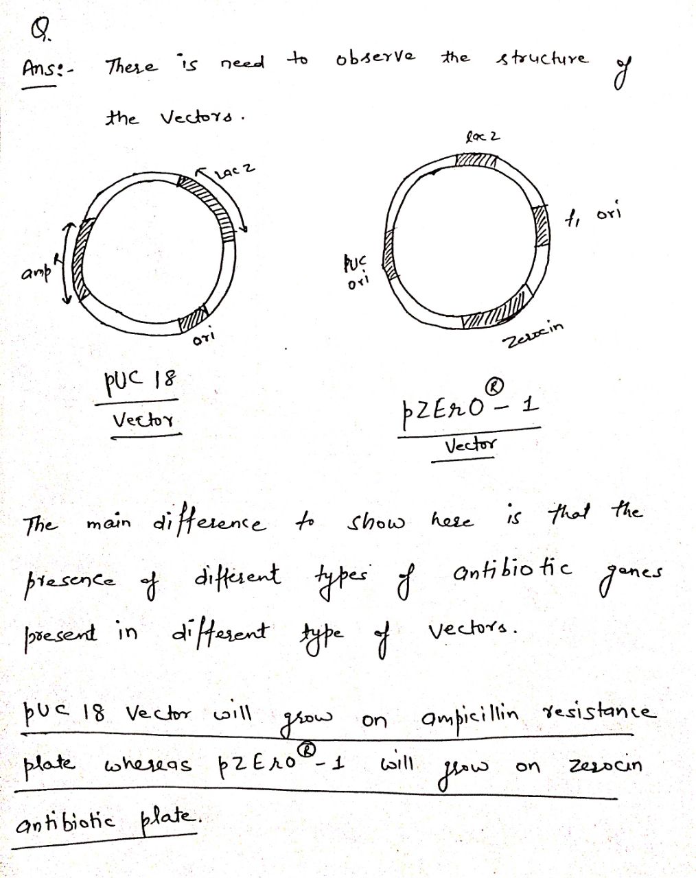 Biology homework question answer, step 1, image 1